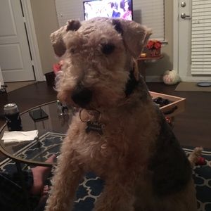 Meet your Posher, Casey